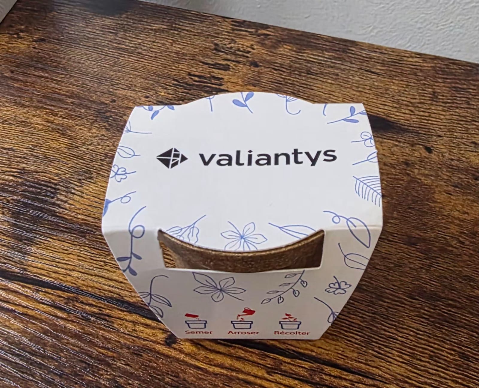 A small mint pot from the welcome pack